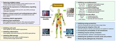 The Potential Role of Phytonutrients Flavonoids Influencing Gut Microbiota in the Prophylaxis and Treatment of Inflammatory Bowel Disease